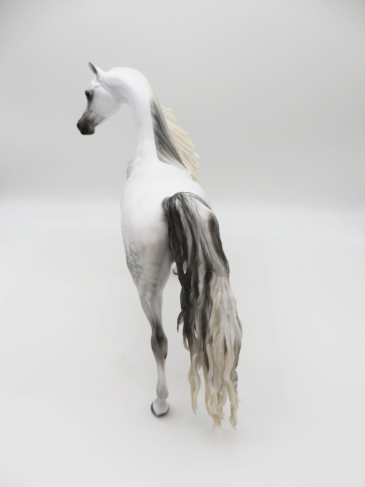 Marengo - Grey Arabian Painted by MYLA PEARCE 9/30/22