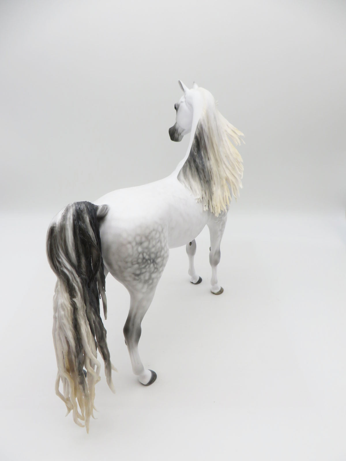 Marengo - Grey Arabian Painted by MYLA PEARCE 9/30/22