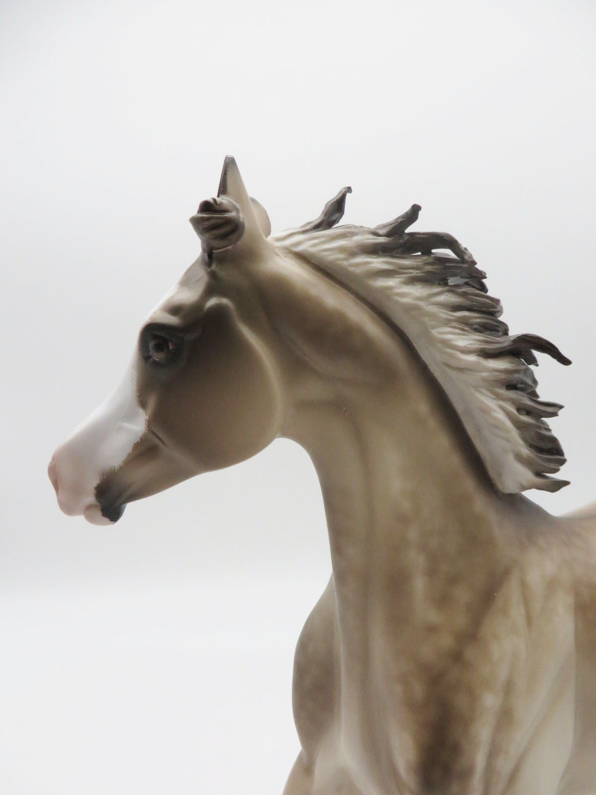 Miss Goddess -OOAK  Pap Buckskin Yearling Painted by Sheryl Leisure 9/19/22