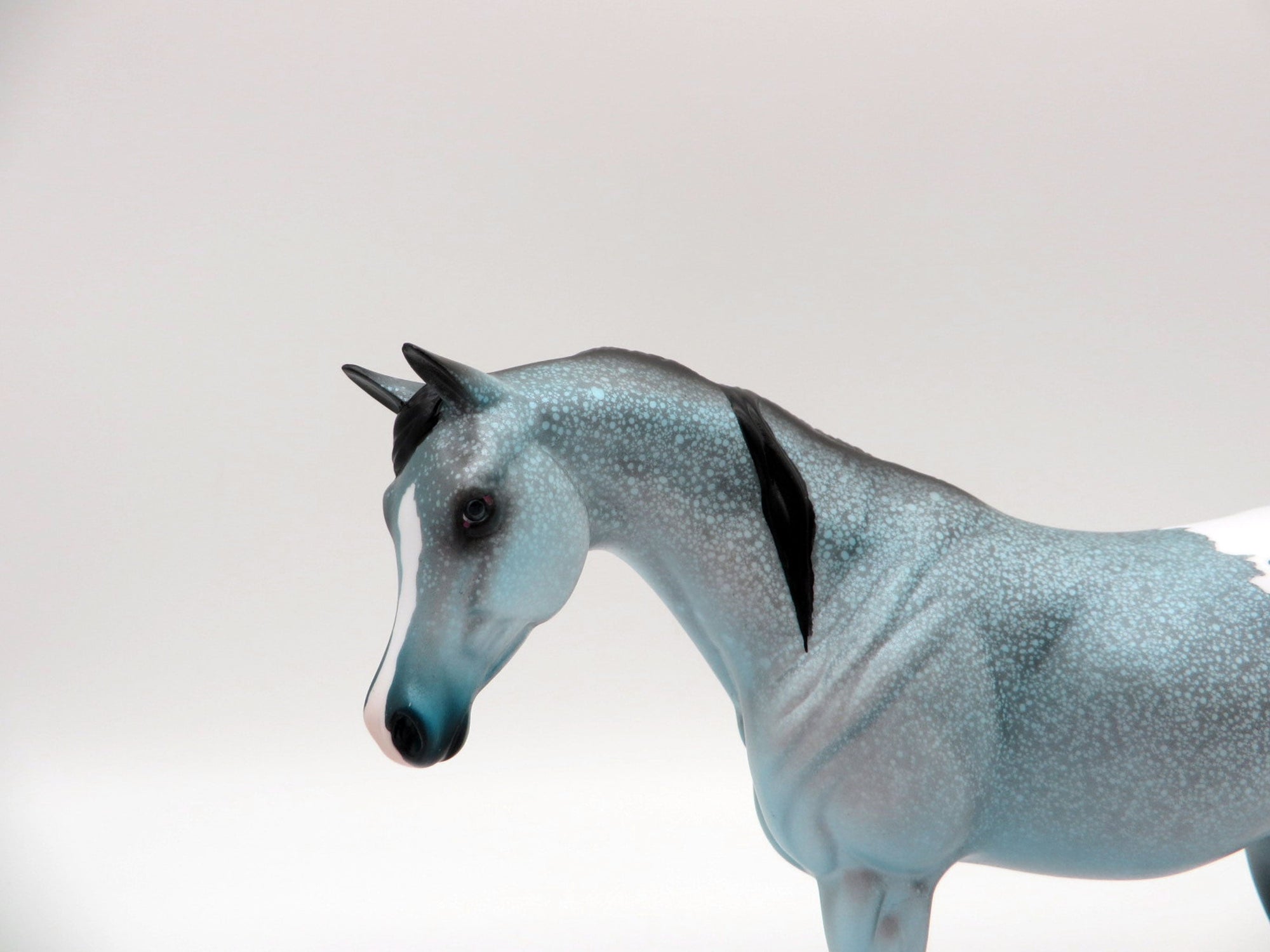 Maid of the Mist-OOAK Arab Pebbles Painted By Ellen Robbins  EQ 21