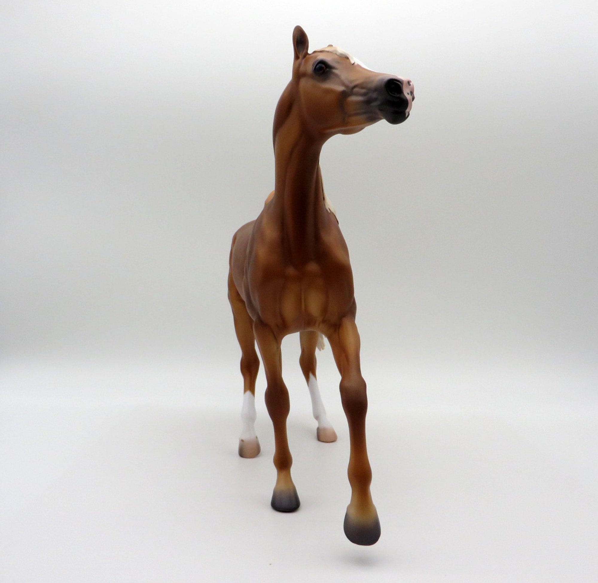 Malawi-OOAK Chestnut Arabian Mare SHCF 21