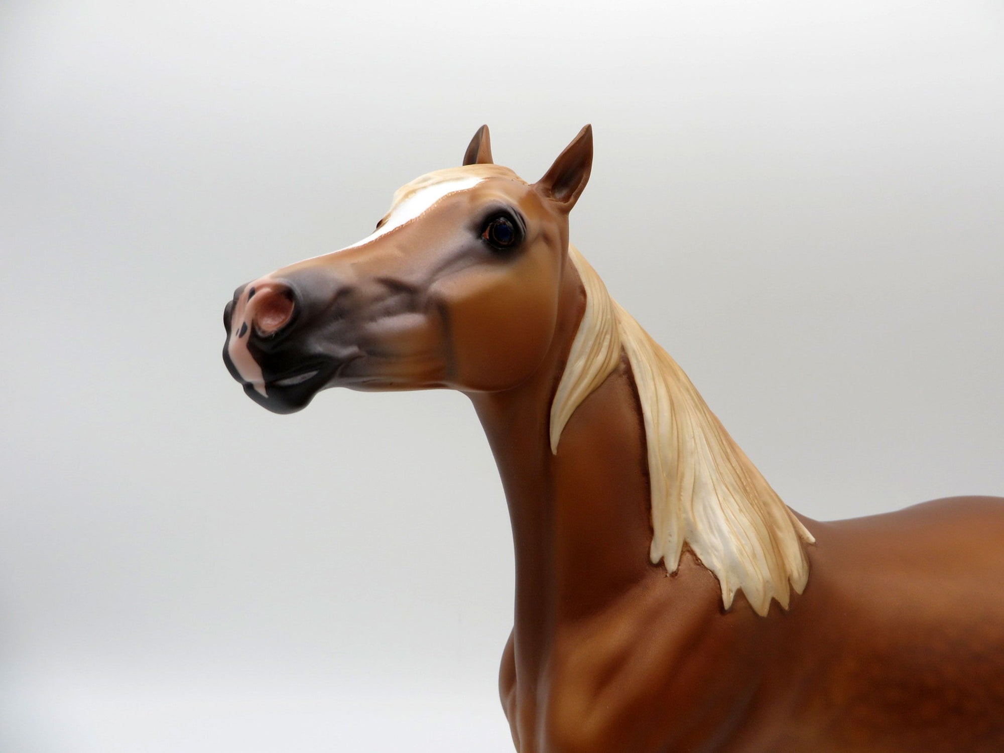 Malawi-OOAK Chestnut Arabian Mare SHCF 21