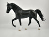 MALCOLM-OOAK BLACK DAPPLE TWH BY SHERYL LEISURE 11/24/20