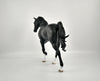 MALCOLM-OOAK BLACK DAPPLE TWH BY SHERYL LEISURE 11/24/20