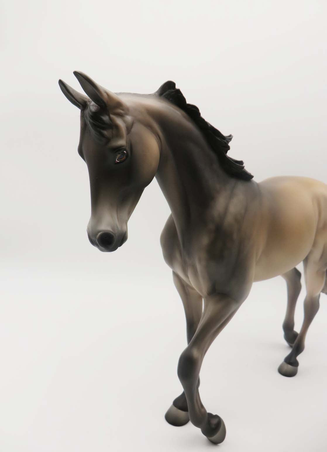 Malinios -OOAK Sooty Buckskin  Thoroughbred By Jess Hamill P&amp;C 23