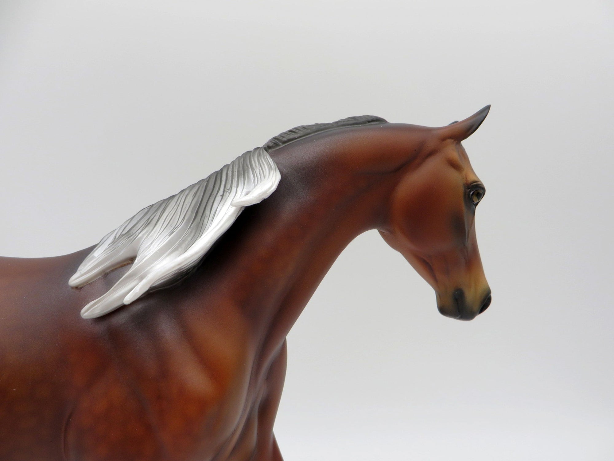 Mammatus-LE-6- Silver Bay Pony SHCF 2021