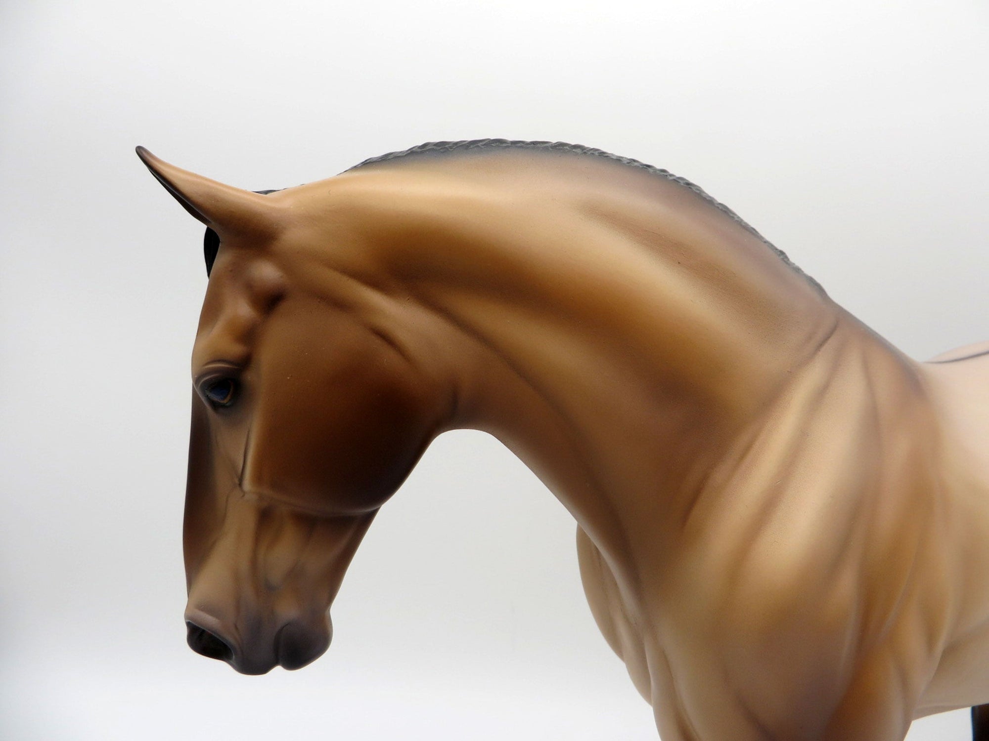 Mammoth-OOAK Brown Dun Irish Draft Painted By Caroline Boydston 6/28/21