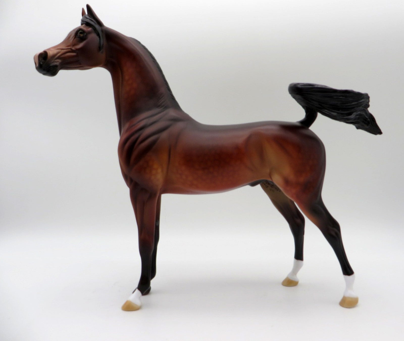 Maple-OOAK Dapple Bay Arabian Painted By Dawn Quick 5/14/21
