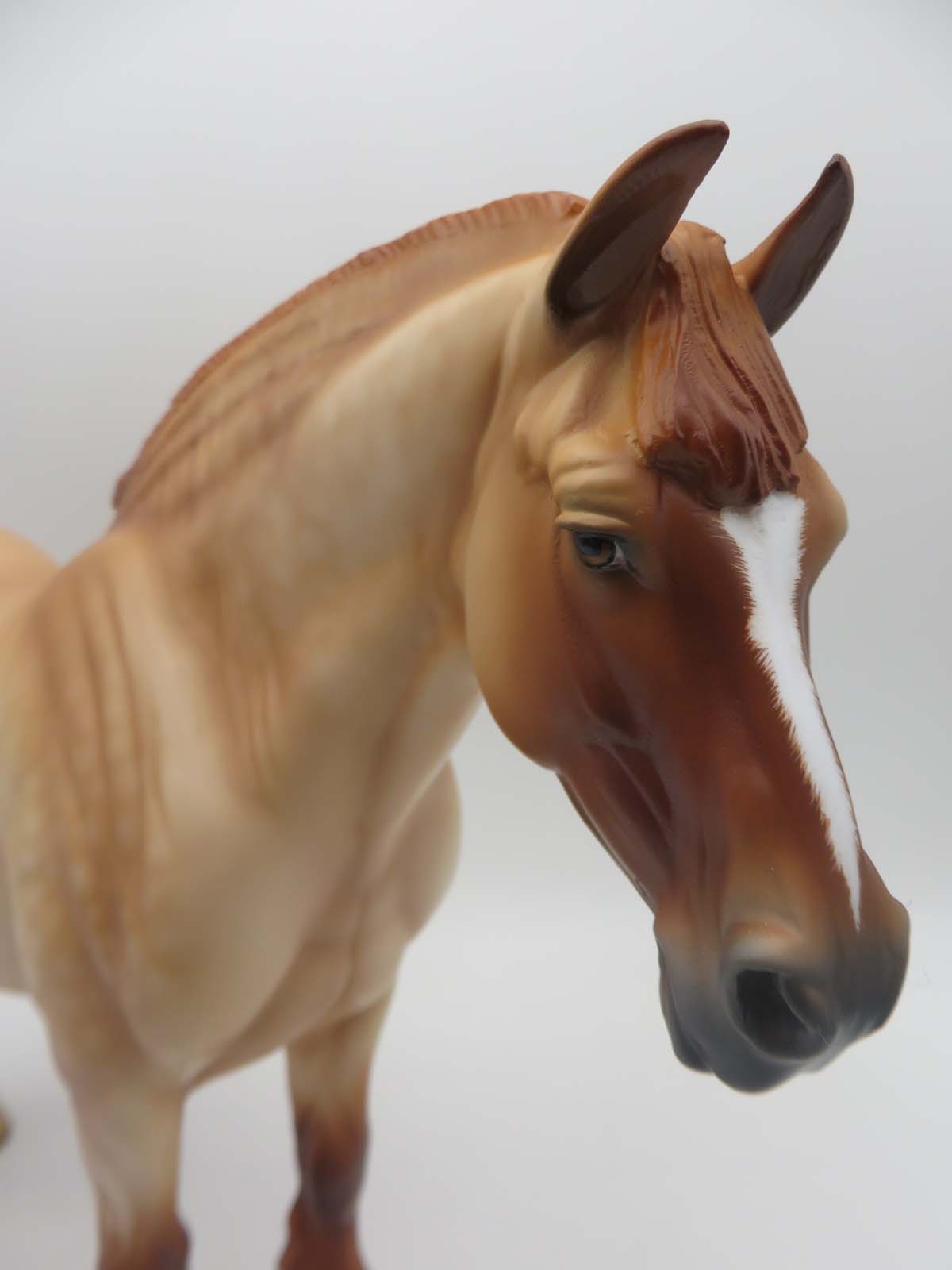 Maple - OOAK - Red Dun Heavy Draft By Angela Marleau - SHCF23