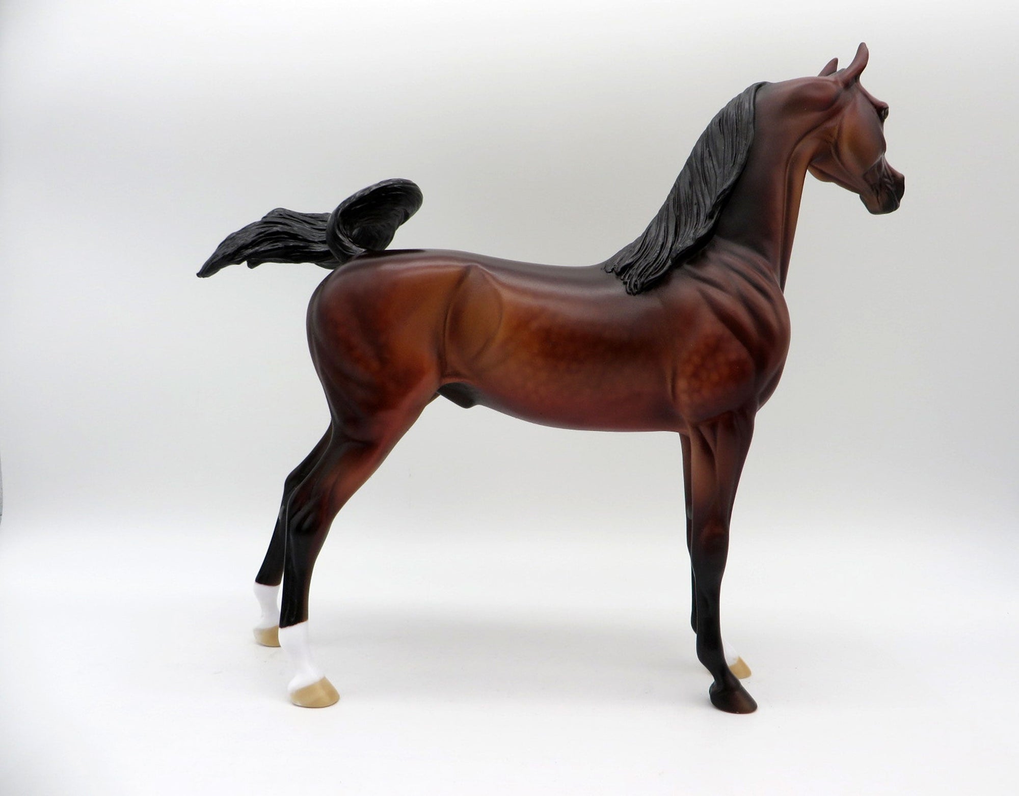Maple-OOAK Dapple Bay Arabian Painted By Dawn Quick 5/14/21
