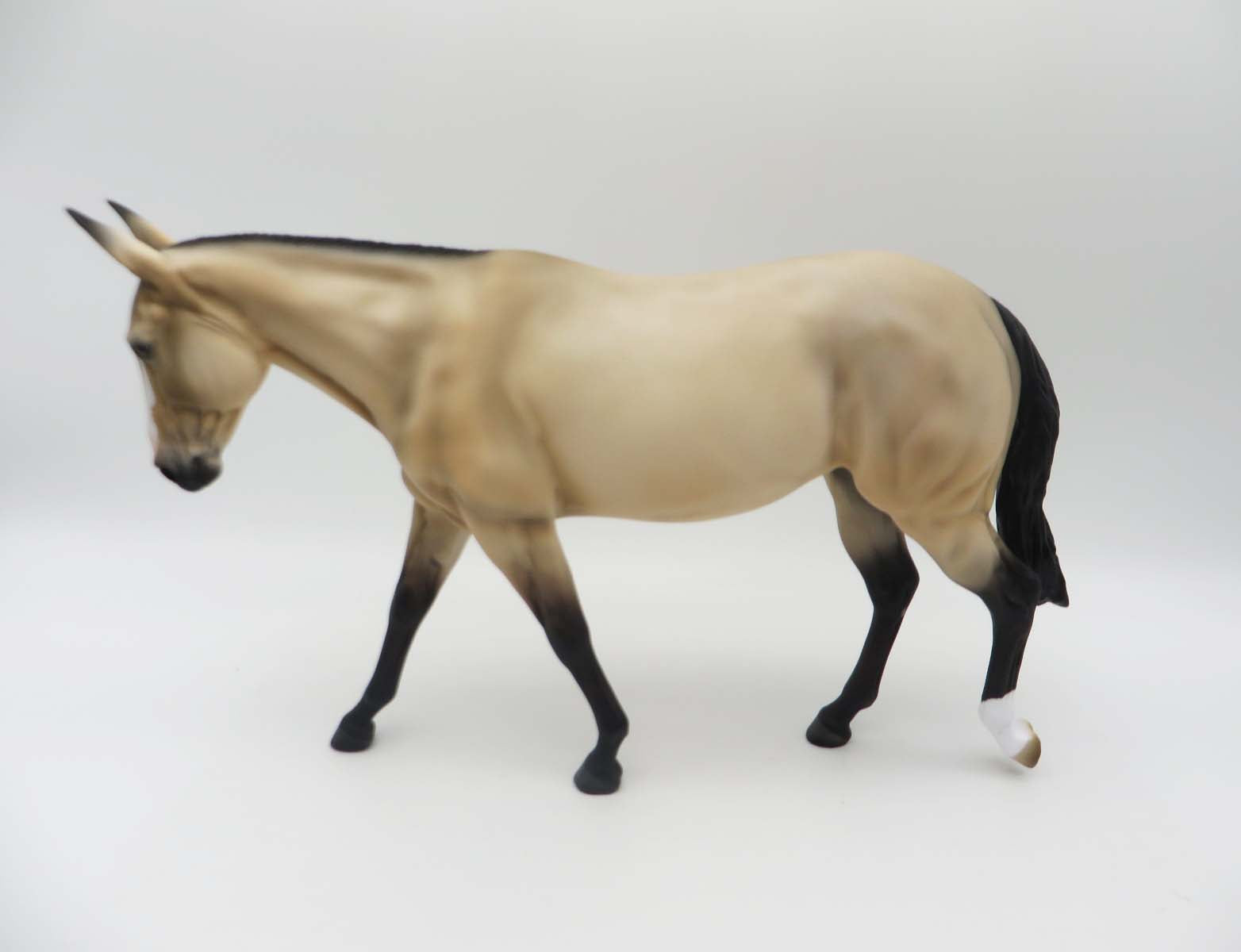 Maria - OOAK - Customized Buckskin Mule By Angela Marleau - SHCF23