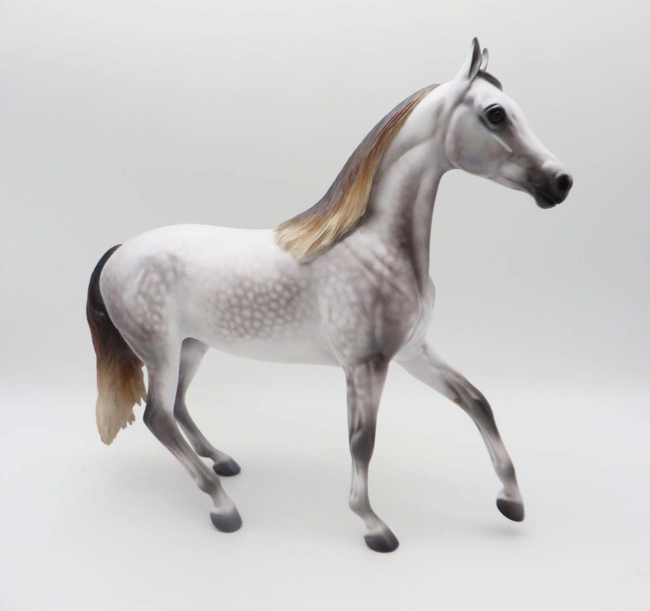 Mariah- OOAK - Mulberry Dapple Grey Araban By Caroline Boydston Best Offer 3/27/23