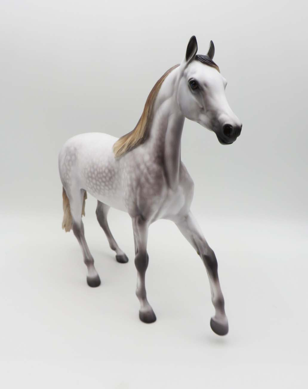 Mariah- OOAK - Mulberry Dapple Grey Araban By Caroline Boydston Best Offer 3/27/23