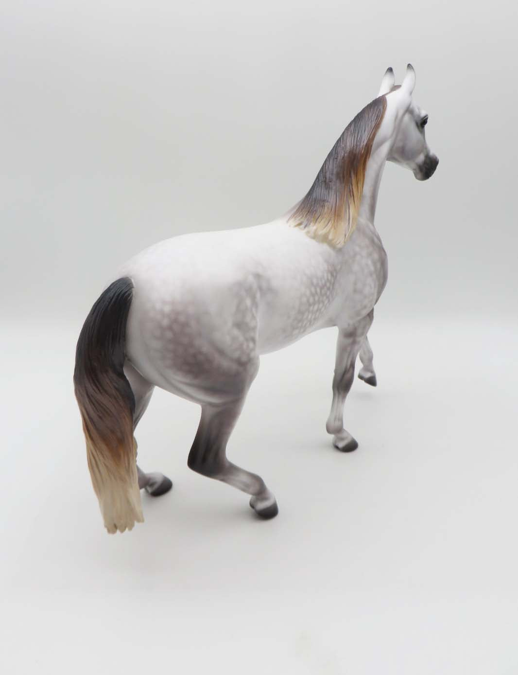 Mariah- OOAK - Mulberry Dapple Grey Araban By Caroline Boydston Best Offer 3/27/23