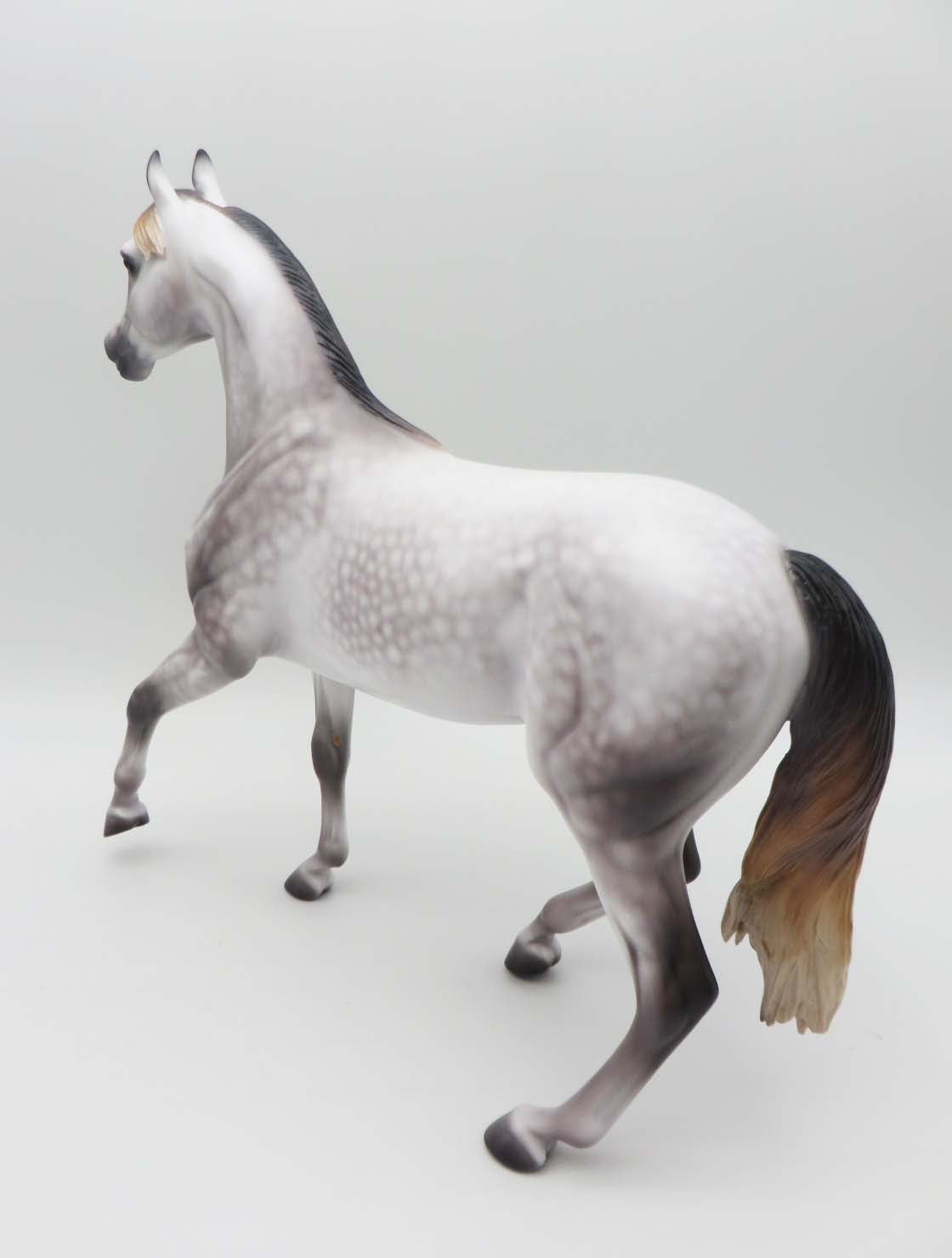 Mariah- OOAK - Mulberry Dapple Grey Araban By Caroline Boydston Best Offer 3/27/23