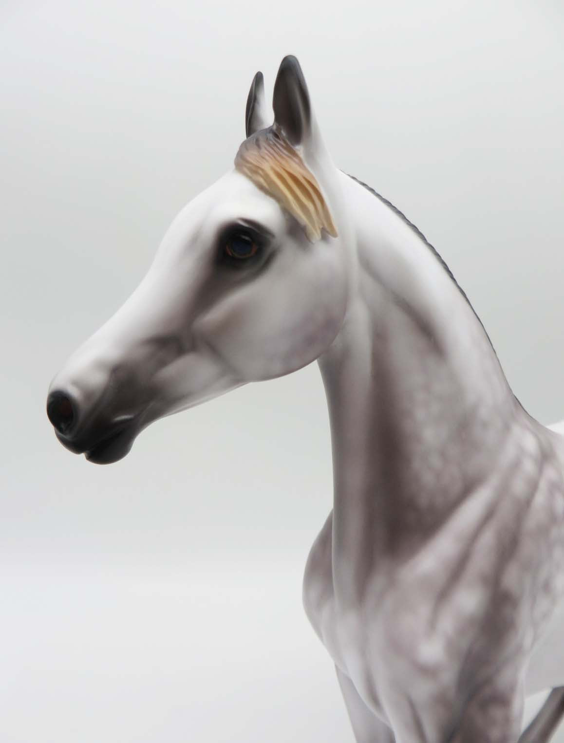 Mariah- OOAK - Mulberry Dapple Grey Araban By Caroline Boydston Best Offer 3/27/23