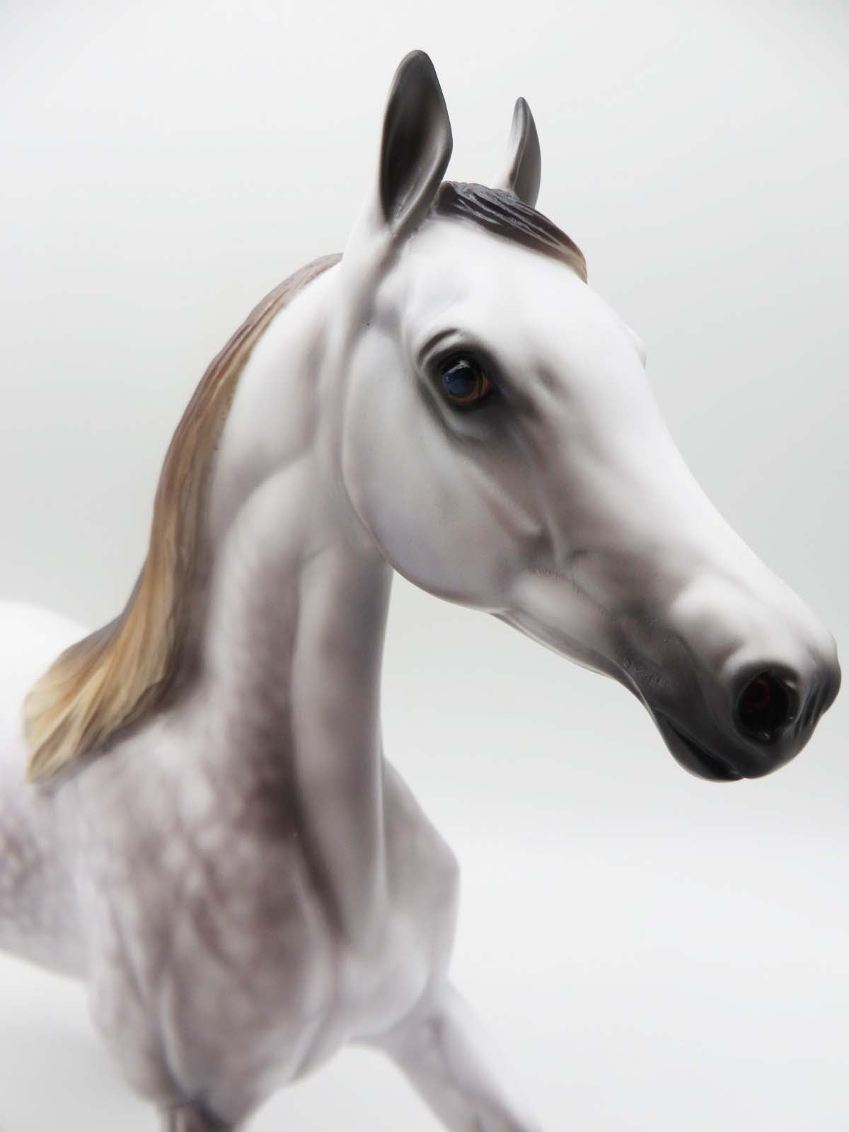 Mariah- OOAK - Mulberry Dapple Grey Araban By Caroline Boydston Best Offer 3/27/23