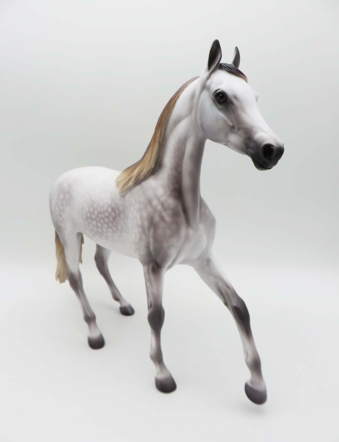 Mariah- OOAK - Mulberry Dapple Grey Araban By Caroline Boydston Best Offer 3/27/23