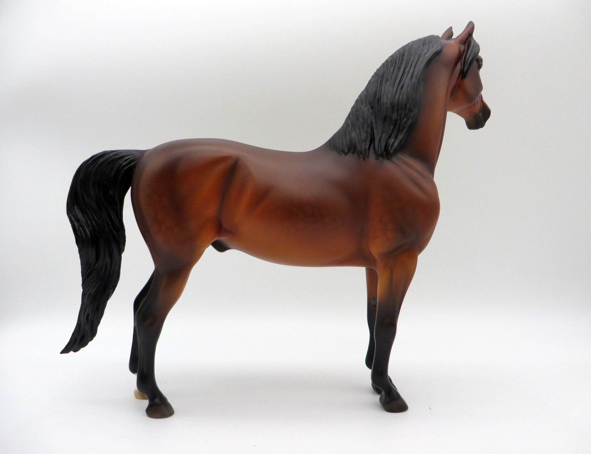 Marquee-LE-3 Dapple Bay Morgan Painted by Ellen Robbins 11/26/21