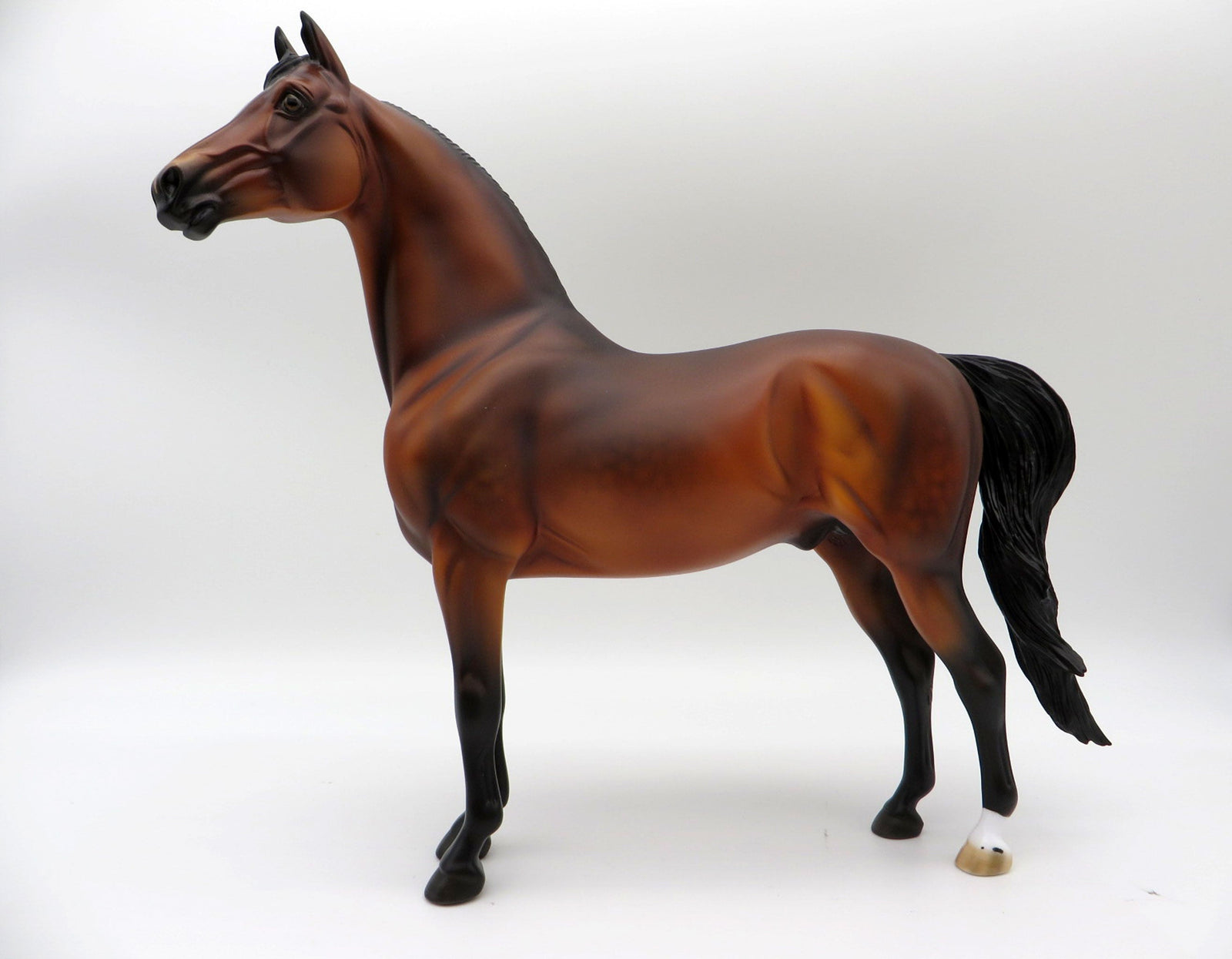 Marquee-LE-3 Dapple Bay Morgan Painted by Ellen Robbins 11/26/21