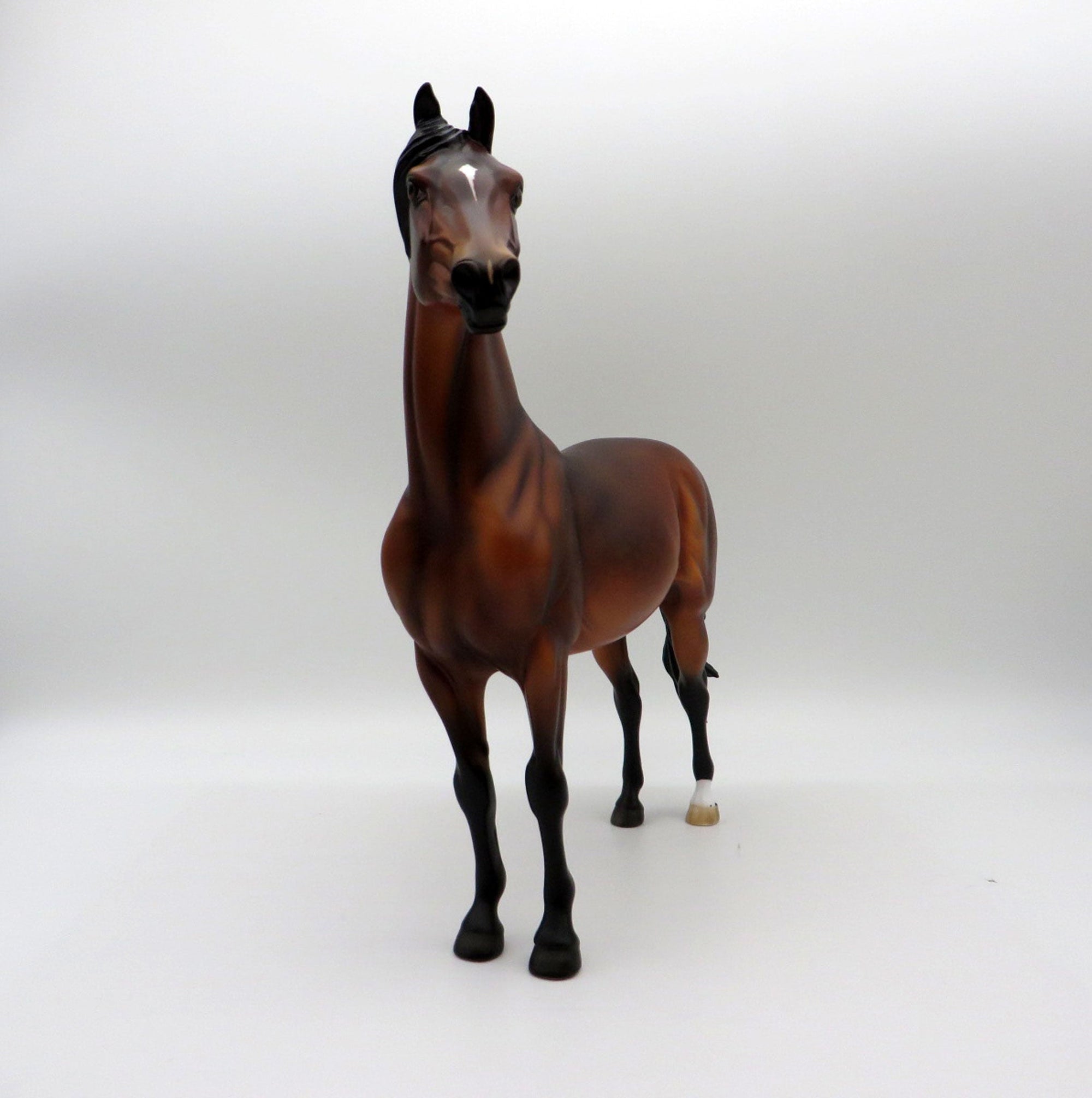 Marquee-LE-3 Dapple Bay Morgan Painted by Ellen Robbins 11/26/21