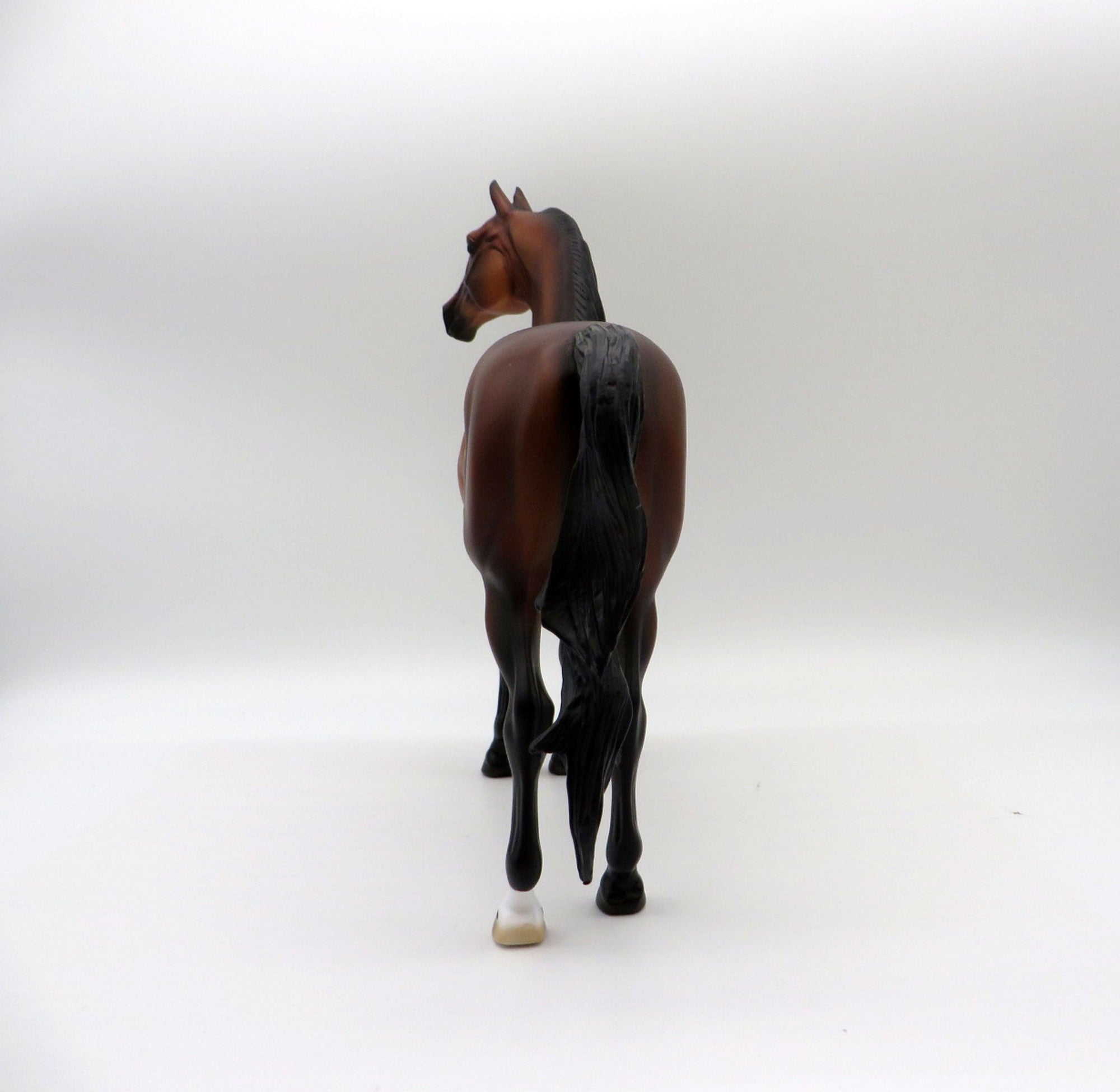 Marquee-LE-3 Dapple Bay Morgan Painted by Ellen Robbins 11/26/21