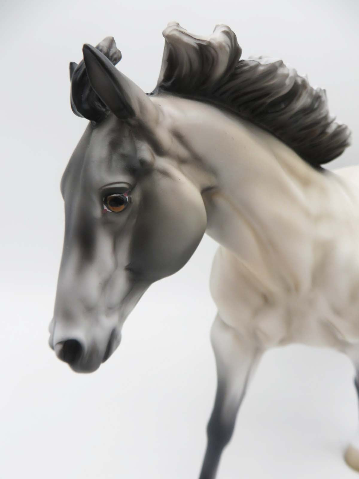 Marston OOAK Buckskin Running Stock Horse By Jess Hamill SHCF23