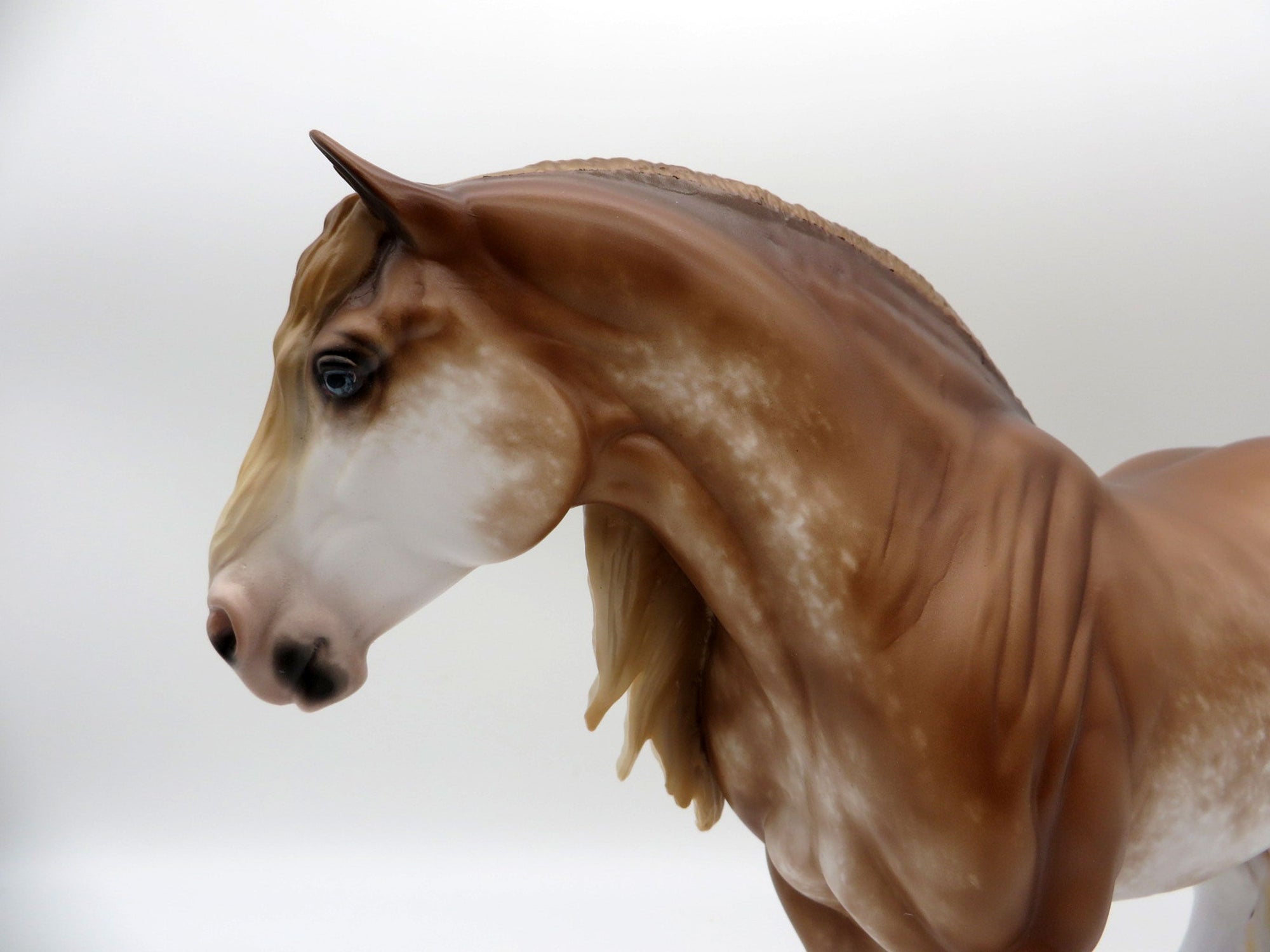 Marvelette-OOAK Chestnut Sabino Heavy Drafter Painted by Sheryl Leisure 11/22/21