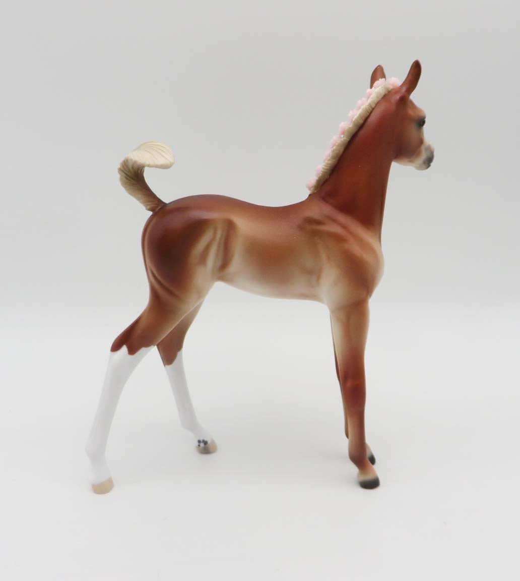 Mary Lennox - Chestnut Arab Foal with Pink Bling Flowers in Her Mane By Ellen Robbins - Classical Literature Series 2023 3/24/23