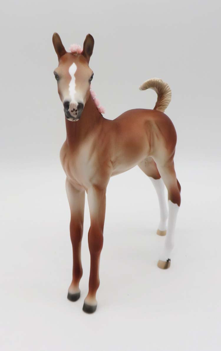 Mary Lennox - Chestnut Arab Foal with Pink Bling Flowers in Her Mane By Ellen Robbins - Classical Literature Series 2023 3/24/23