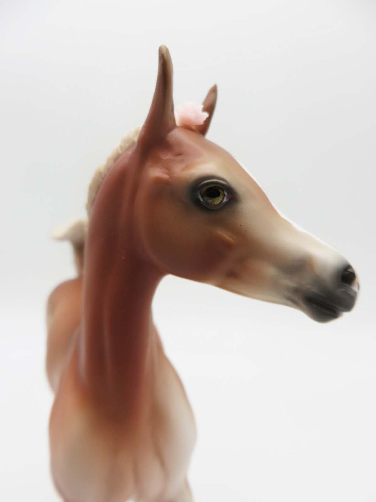 Mary Lennox - Chestnut Arab Foal with Pink Bling Flowers in Her Mane By Ellen Robbins - Classical Literature Series 2023 3/24/23