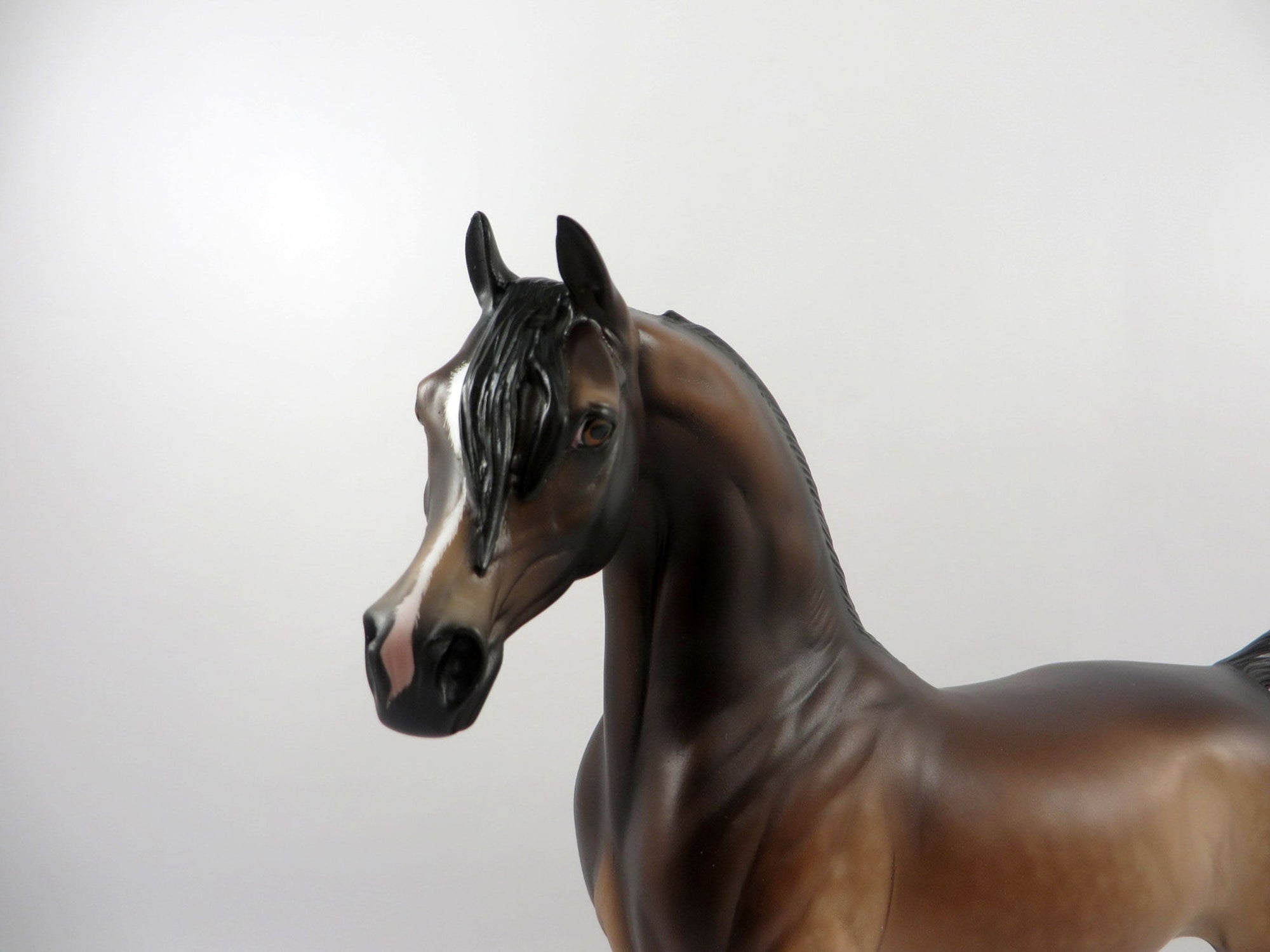 Mastermind-OOAK Seal Bay Arabian Painted by Sheryl Leisure 2/18/21