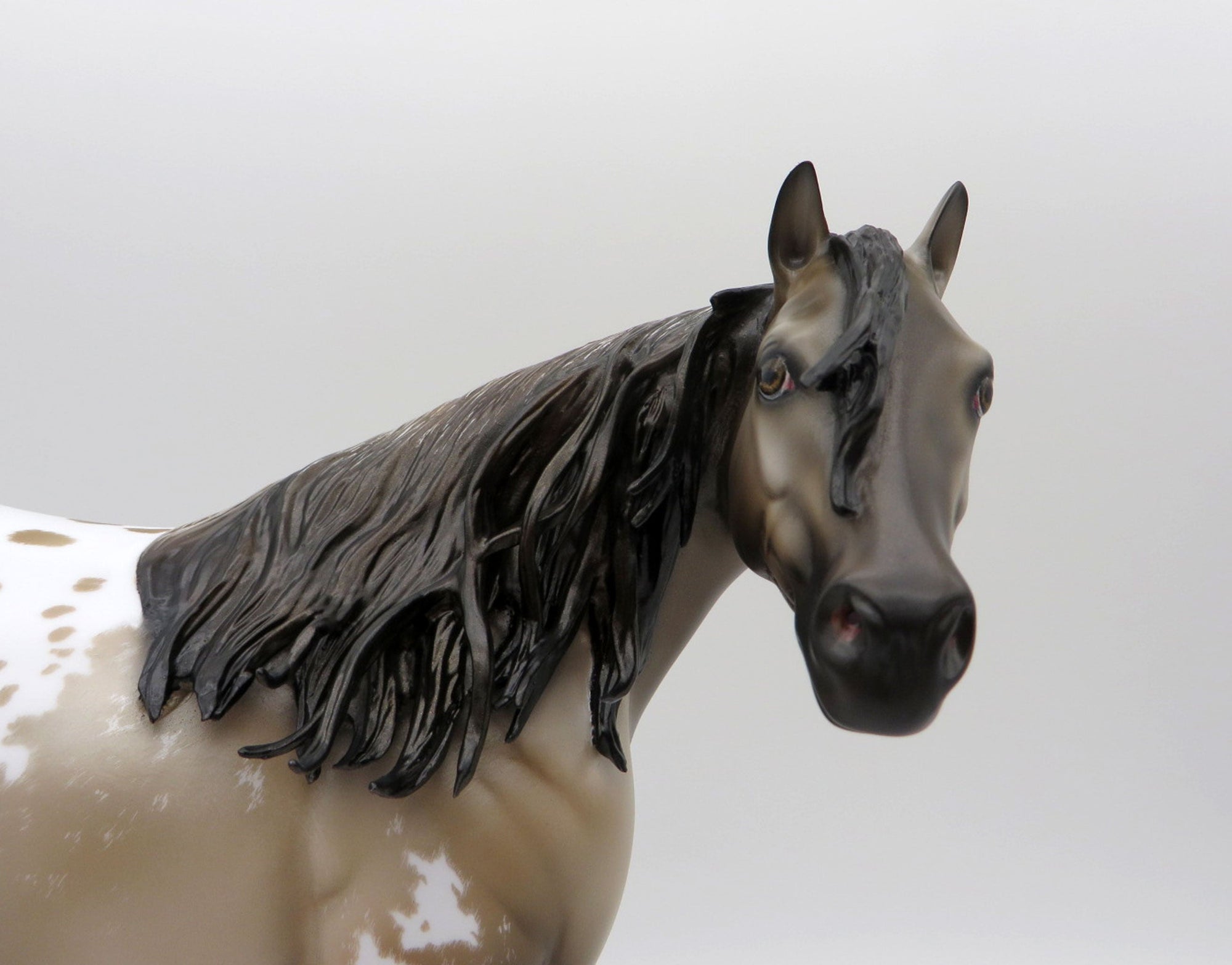 Matisse-OOAK Grulla Appaloosa ISH Painted by Carrie Keller  EQ 21