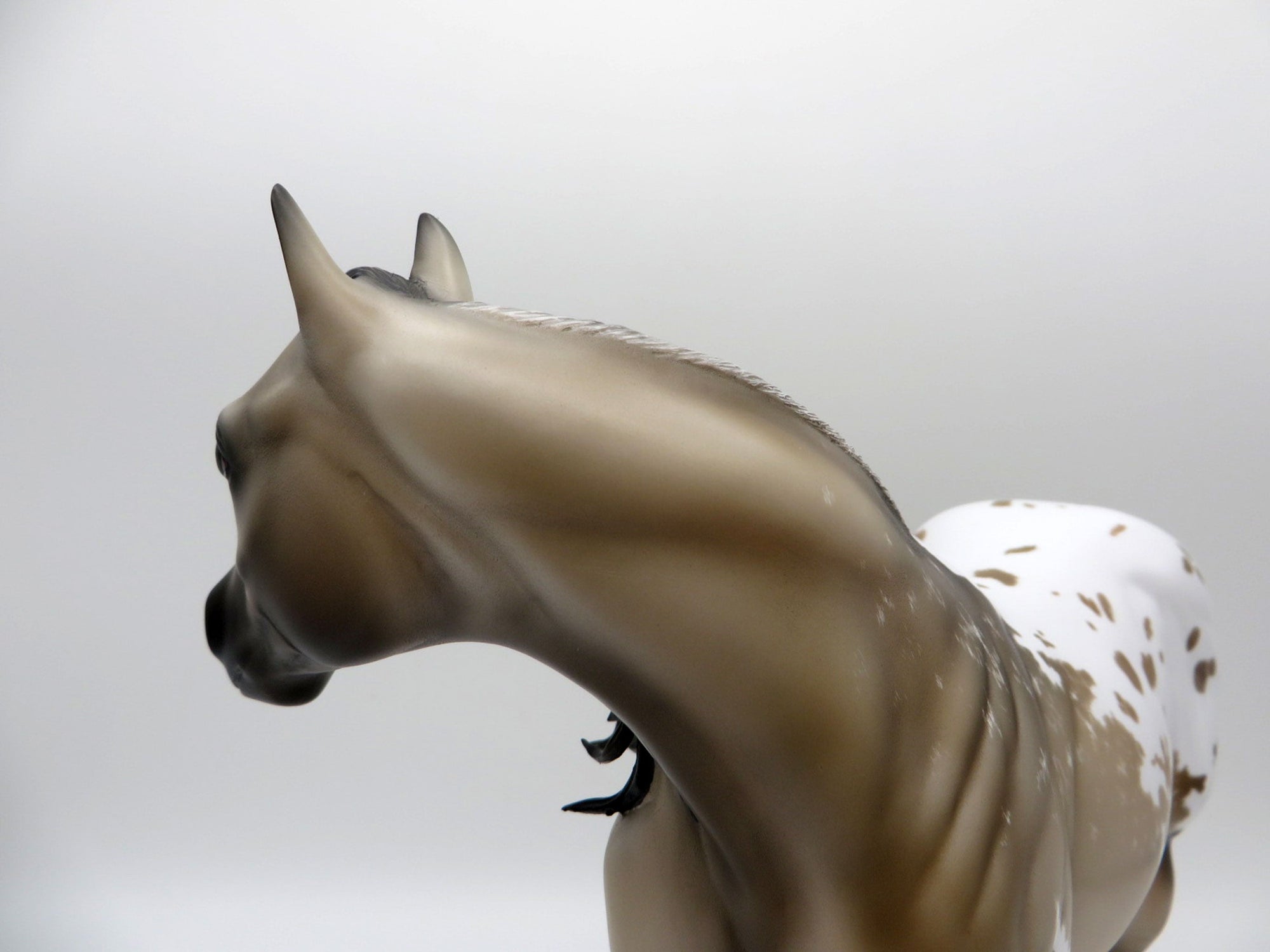 Matisse-OOAK Grulla Appaloosa ISH Painted by Carrie Keller  EQ 21