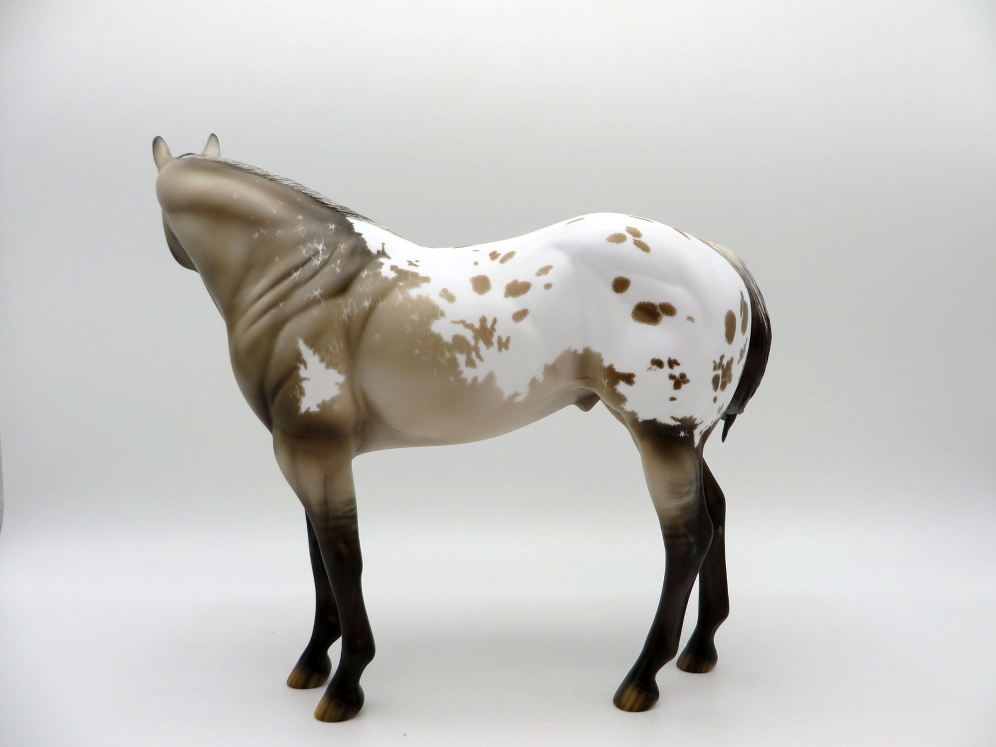 Matisse-OOAK Grulla Appaloosa ISH Painted by Carrie Keller  EQ 21