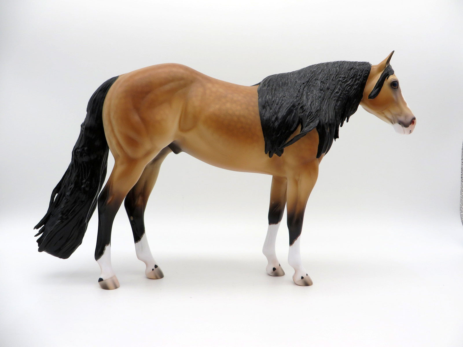 Matterhorn-OOAK Dapple Buckskin ISH  Painted By Caroline Boydston 6/22/21