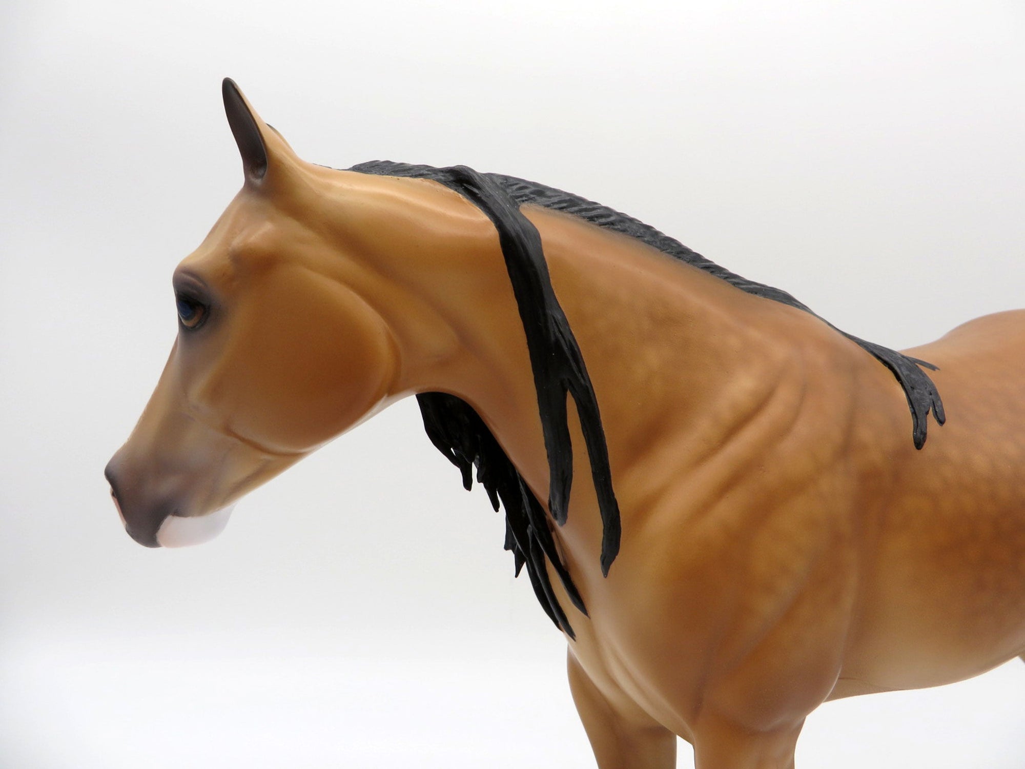 Matterhorn-OOAK Dapple Buckskin ISH  Painted By Caroline Boydston 6/22/21