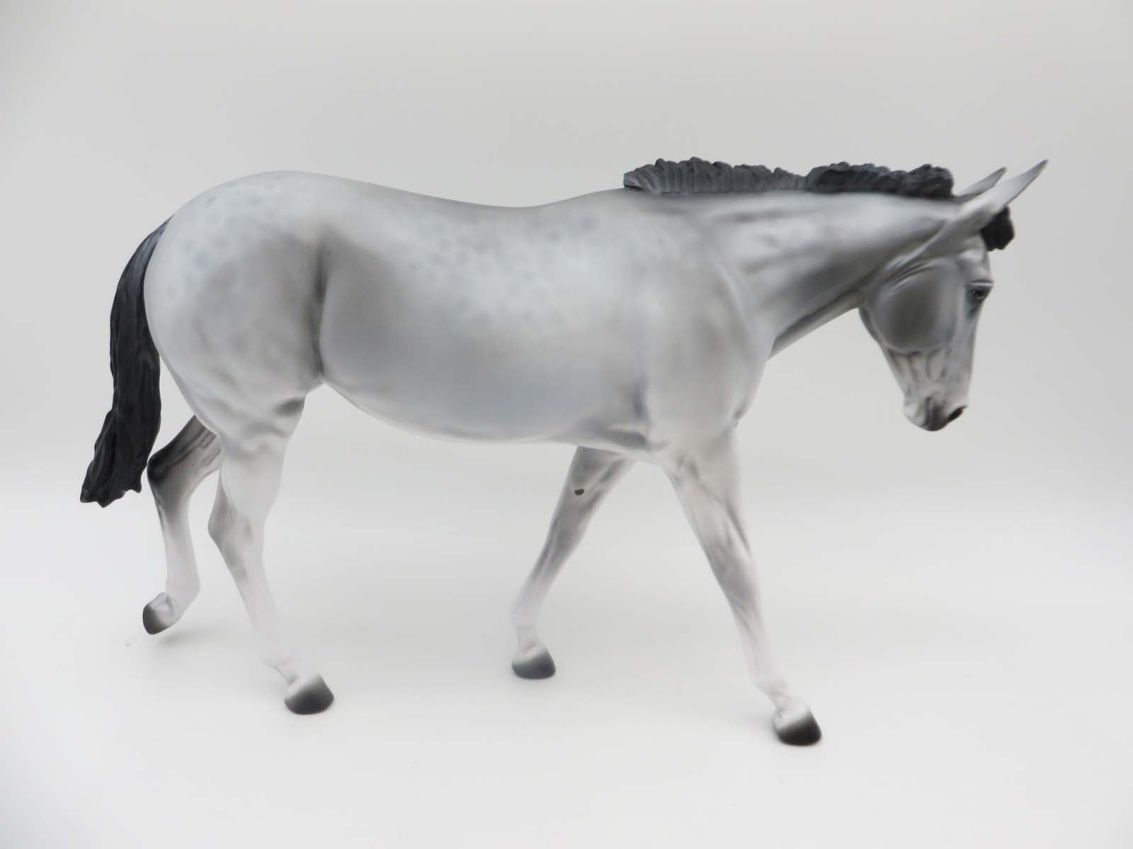 Mau - OOAK - Reverse Dapple Blue Roan Mule By Jess Hamill - P&amp;C 23