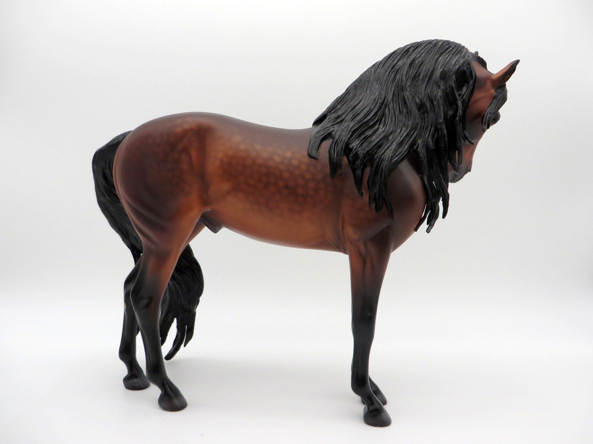 Mauna Loa-OOAK Dapple Bay Andalusian Painted By Caroline Boydston 6/28/21