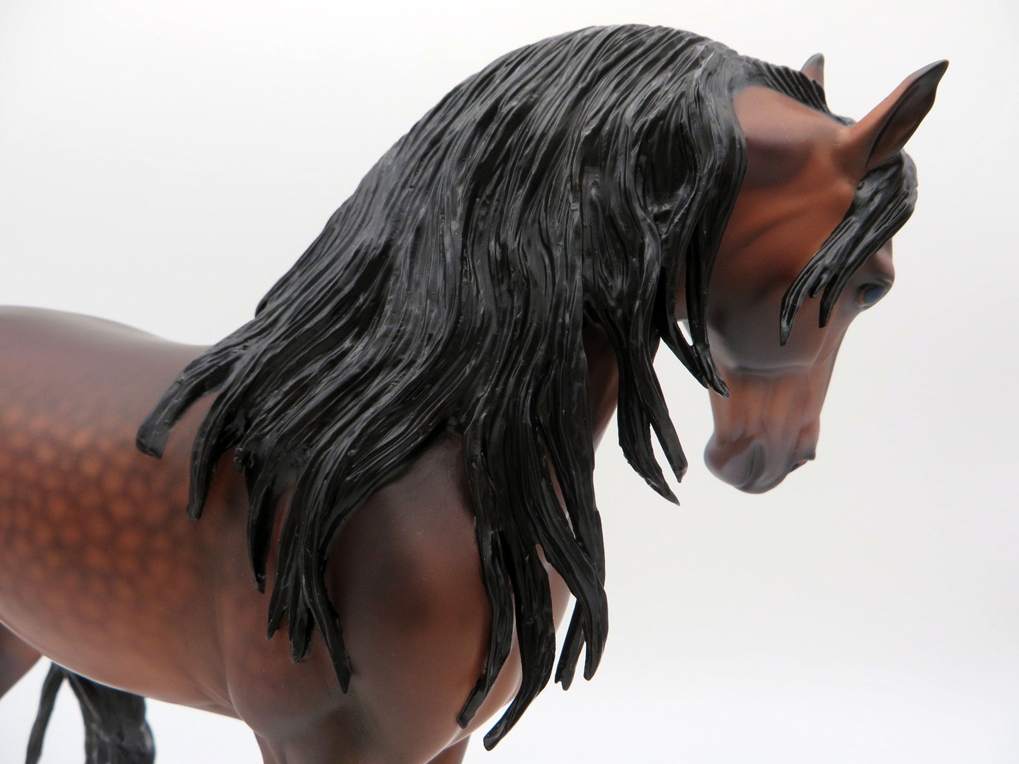 Mauna Loa-OOAK Dapple Bay Andalusian Painted By Caroline Boydston 6/28/21