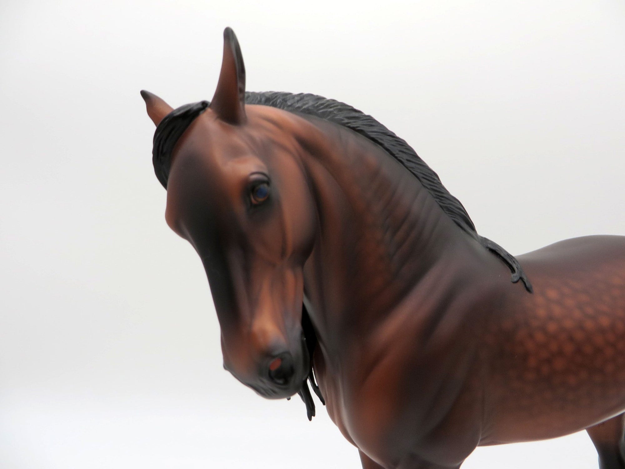 Mauna Loa-OOAK Dapple Bay Andalusian Painted By Caroline Boydston 6/28/21