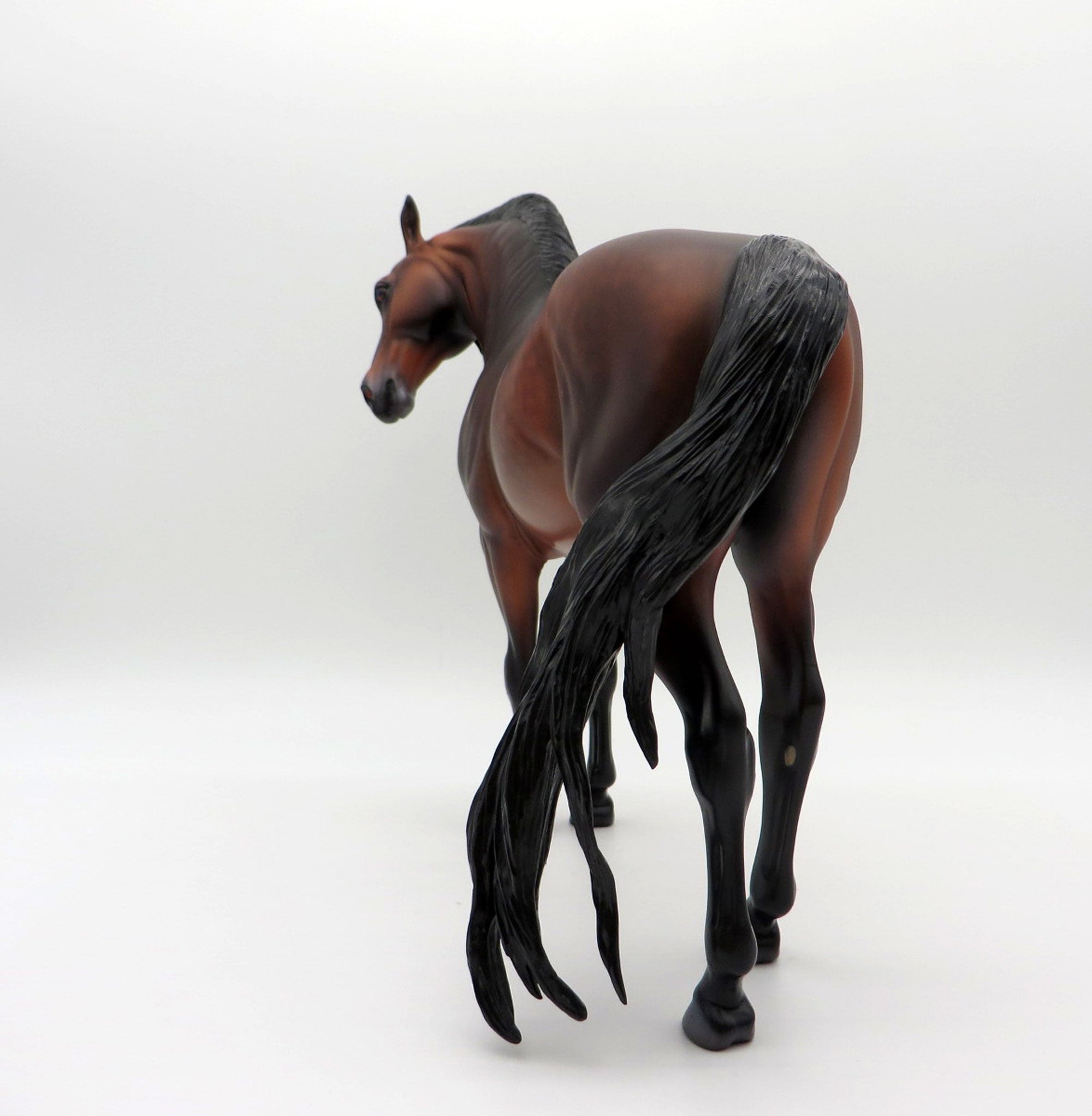 Mauna Loa-OOAK Dapple Bay Andalusian Painted By Caroline Boydston 6/28/21