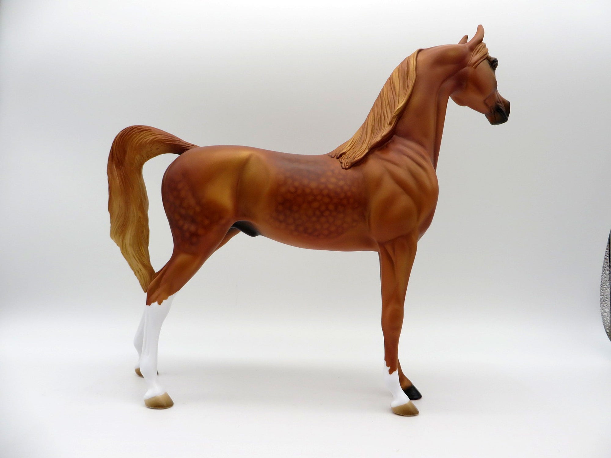 May King-LE-15 Dapple Chestnut Arabian Stone Horse Country Fair 2021
