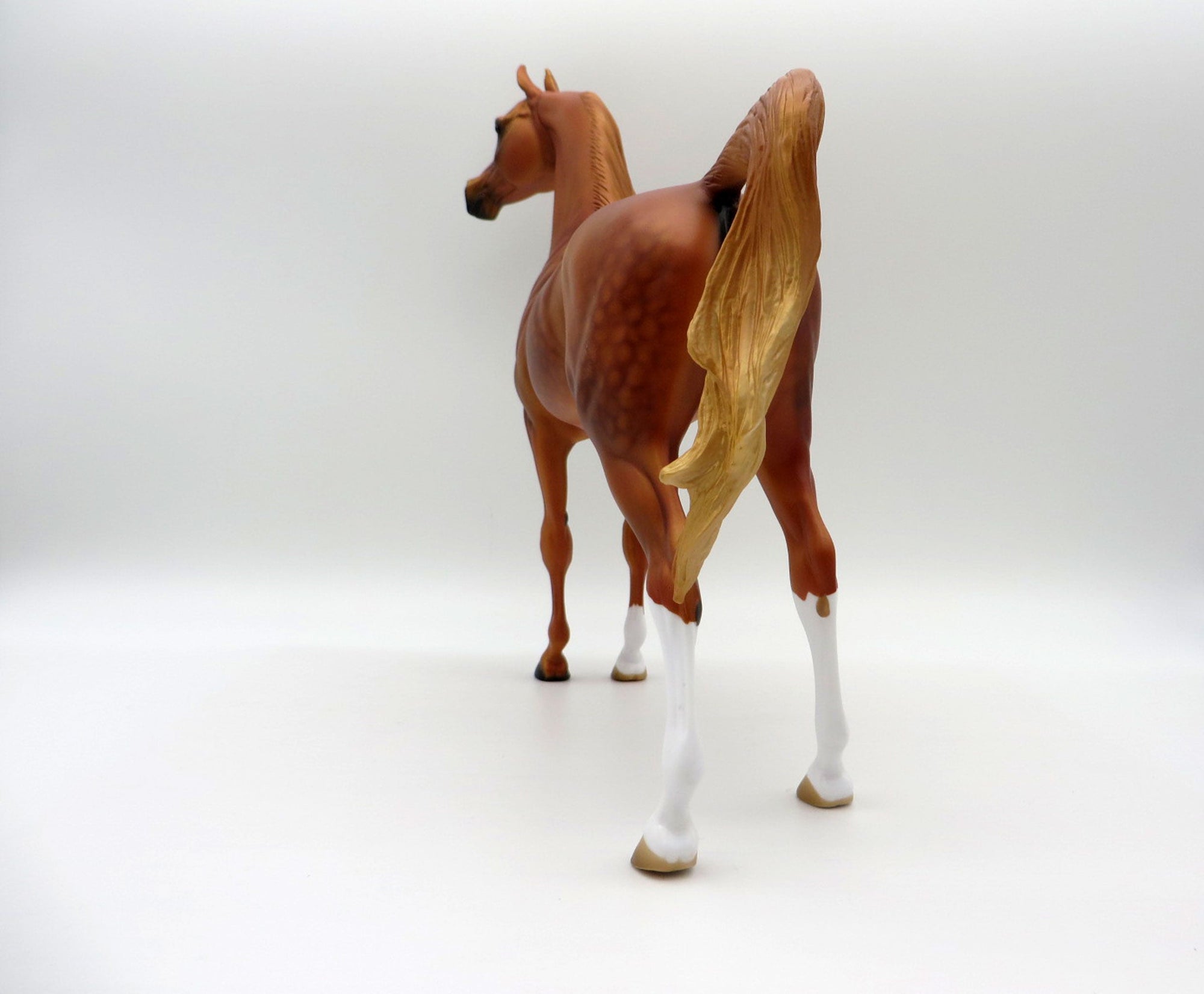 May King-LE-15 Dapple Chestnut Arabian Stone Horse Country Fair 2021