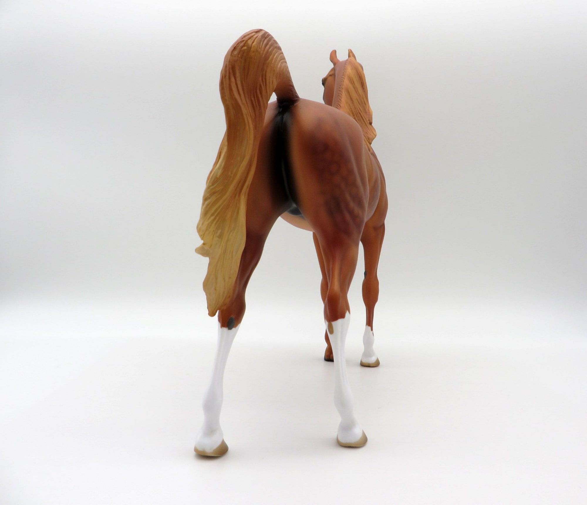 May King-LE-15 Dapple Chestnut Arabian Stone Horse Country Fair 2021
