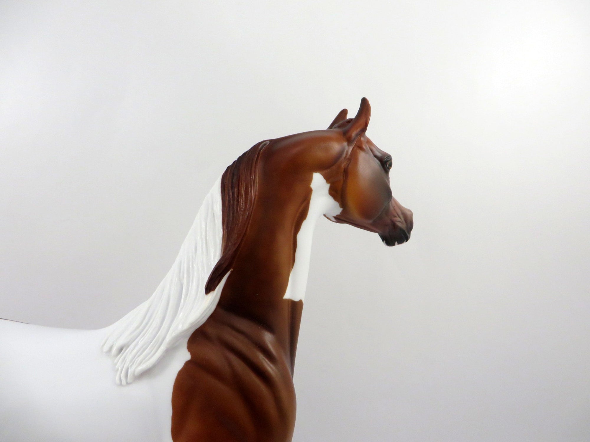 Medal-OOAK Dapple Chestnut Paint Arabian Bingo 3/18