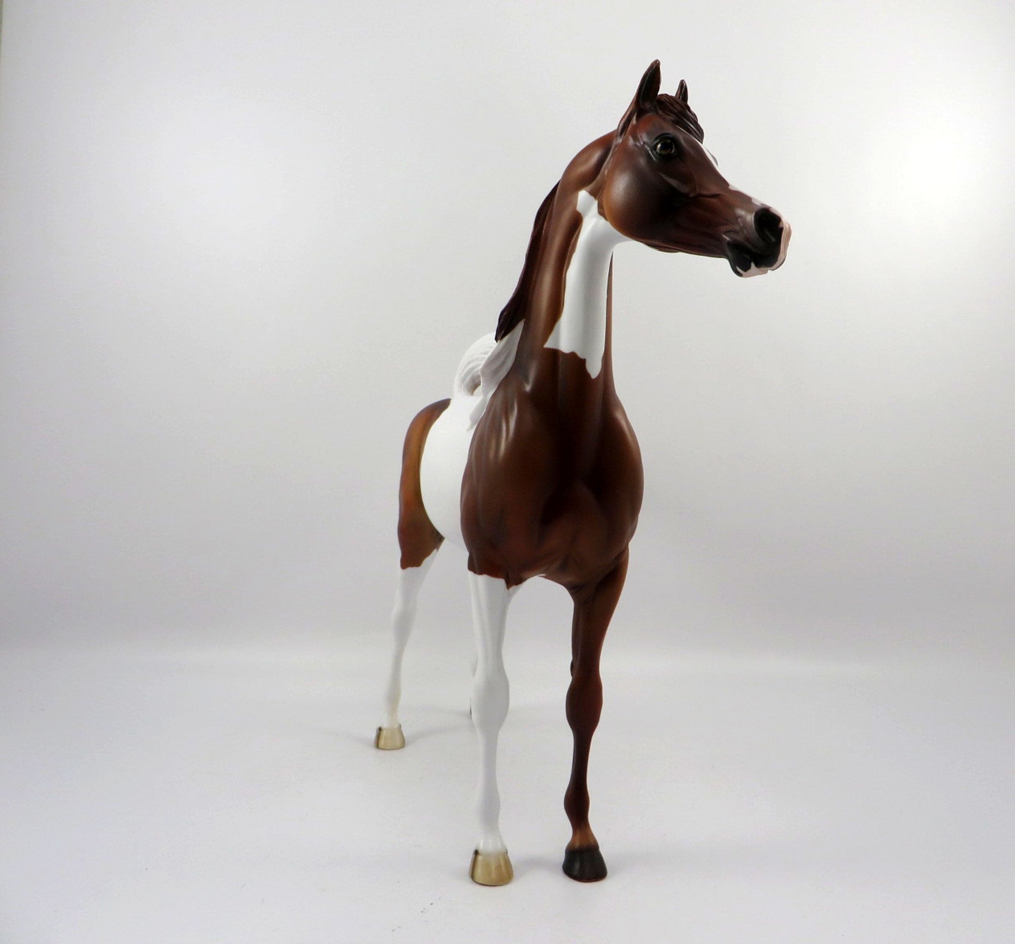 Medal-OOAK Dapple Chestnut Paint Arabian Bingo 3/18