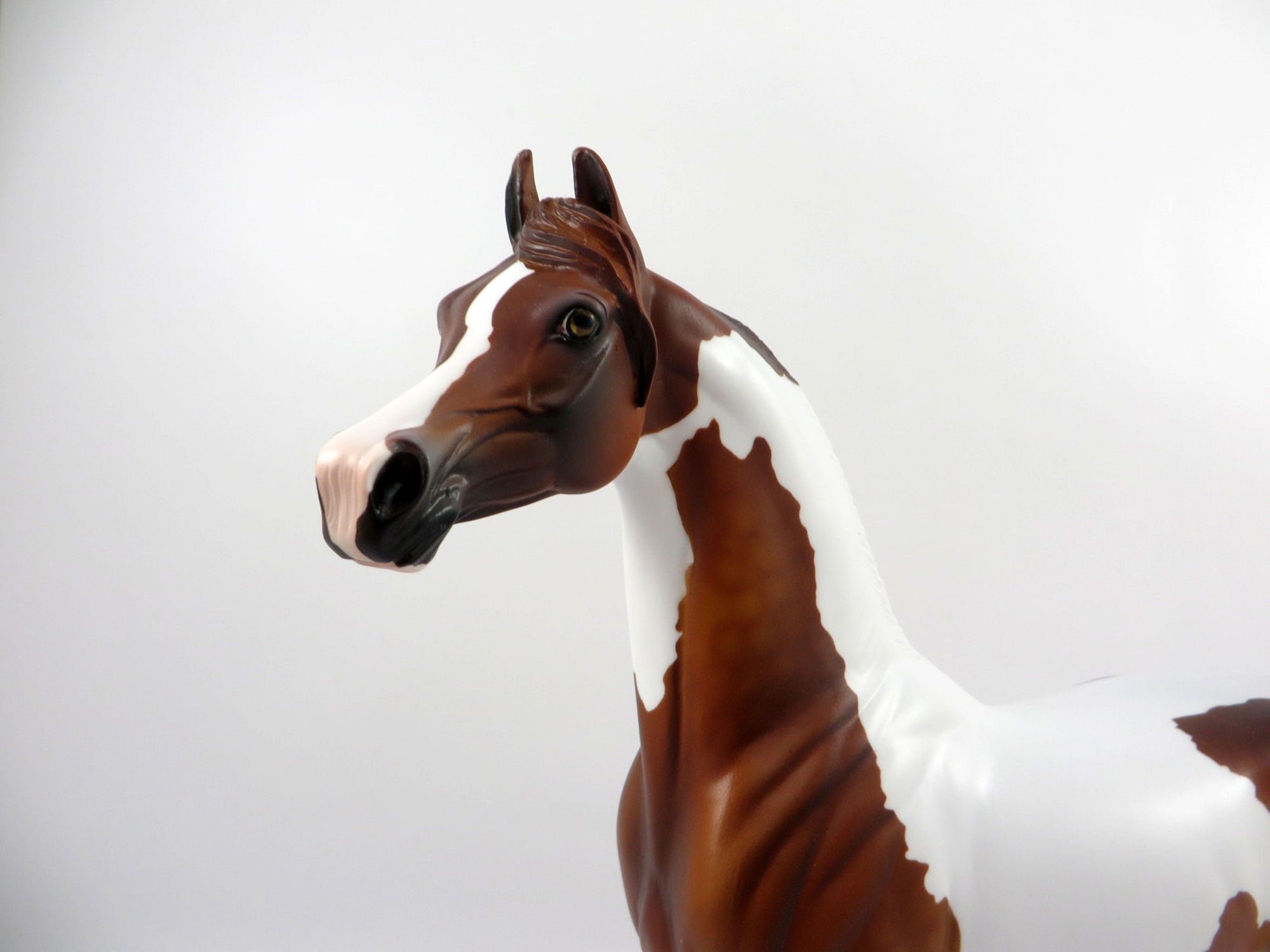 Medal-OOAK Dapple Chestnut Paint Arabian Bingo 3/18