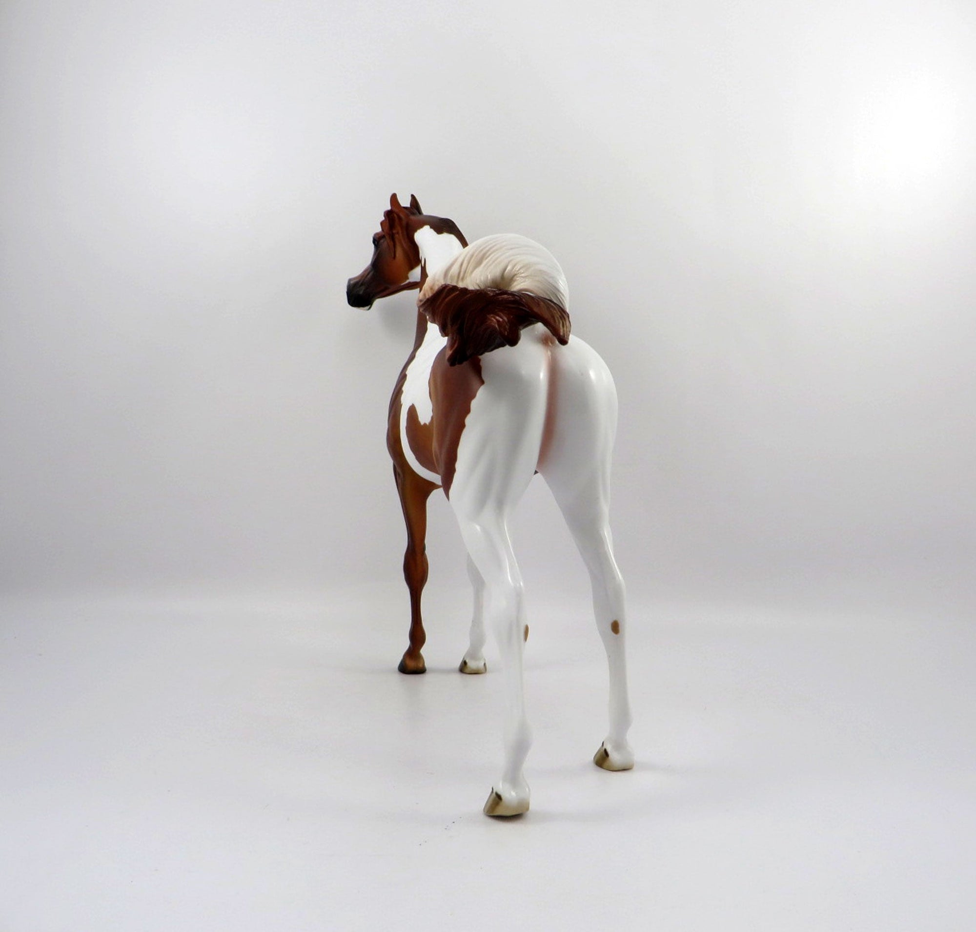 Medal-OOAK Dapple Chestnut Paint Arabian Bingo 3/18