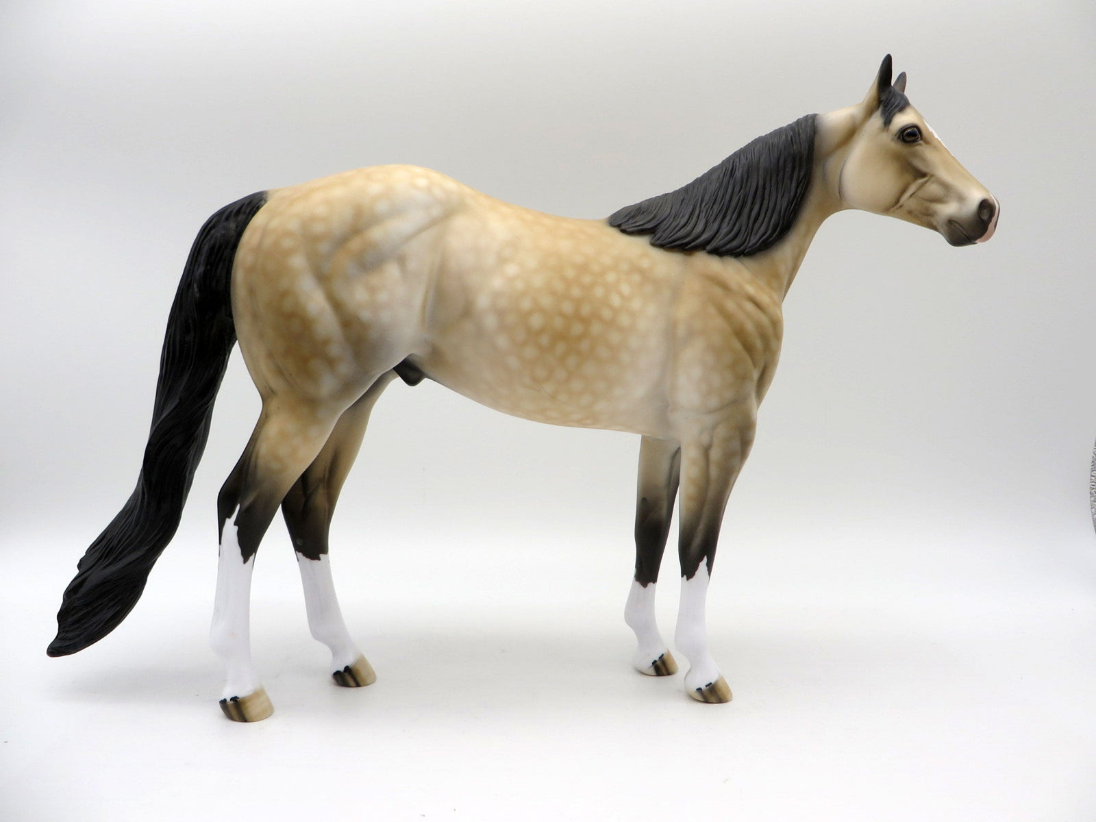 Medicine Wheel-OOAK Dapple Buckskin Painted By Dawn Quick 5/28/21